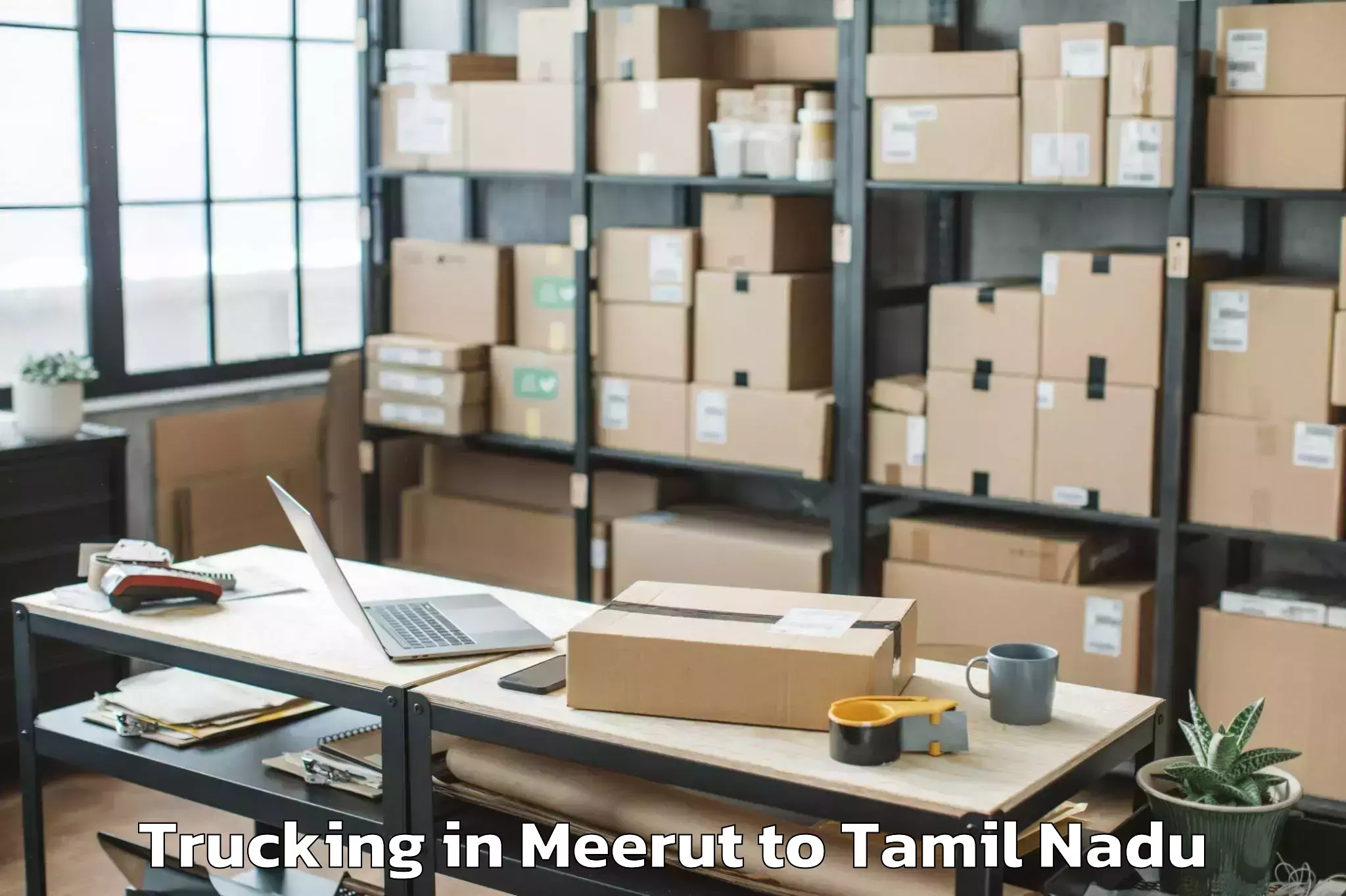 Reliable Meerut to Gummidipoondi Trucking